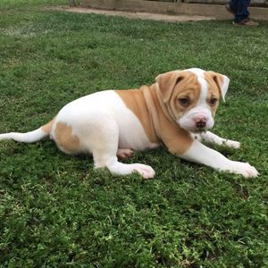 Meet your Posher, Malana